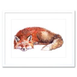 "Artery8 Wall Art Print Fox Sleeping Watercolour Art Framed 9x7 inch in White - Size: W7"" x H9""" - thumbnail 1