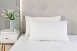 Snug City Polycotton Plain Dyed Housewife Pillowcase Pair in White - thumbnail 2