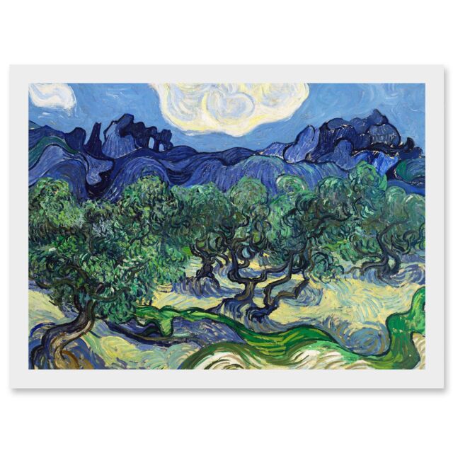 Artery8 Vincent Van Gogh The Olive Trees Painting Artwork Framed Wall Art Print A4 in White - image 1
