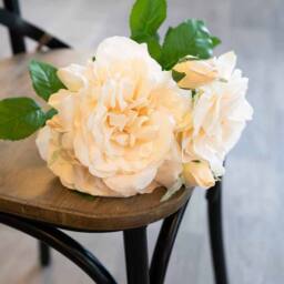 Lemon Pavilion Furniture and Decor Peachy Short Stem Rose Bouquet Artificial Flower - L25 x W25 x H35 cm in Pink - thumbnail 3