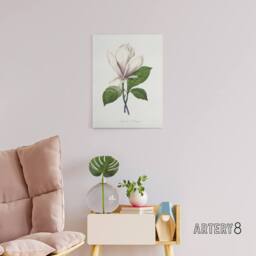 "Artery8 Saucer Magnolia Flower Redoute Vintage Canvas Wall Art in White - Size: W18"" x H24""" - thumbnail 3