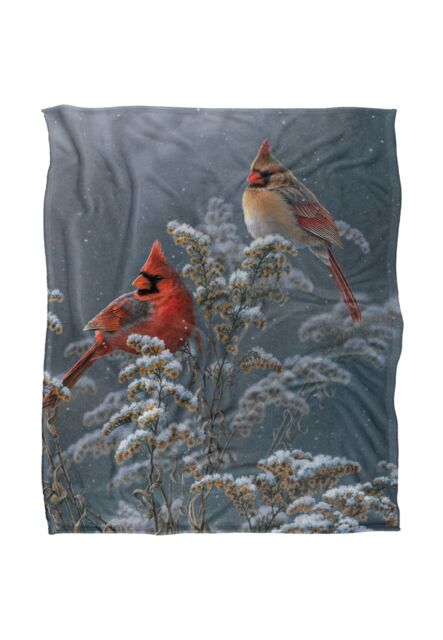 JQ Licensing Lz Winter Cardinals Silky Touch Super Soft Throw Blanket 152 X 127 cm in White - image 1