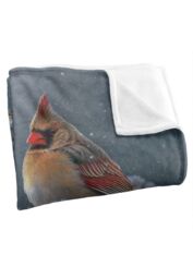 JQ Licensing Lz Winter Cardinals Silky Touch Super Soft Throw Blanket 152 X 127 cm in White - thumbnail 3