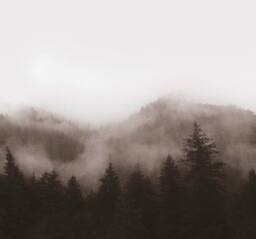 Superfresco Easy Misty Landscape Neutral Print To Order 3m x 2.8m Mural in Beige - thumbnail 2