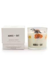 KDMD Lakeland Mocha Botanical Soy Wax Candle 350g in White - thumbnail 4