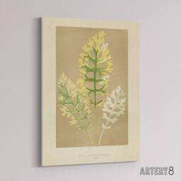 "Artery8 Vintage Botanical Dusty Miller Leaves Fawcett Canvas Wall Art in Beige - Size: W18"" x H24""" - thumbnail 2