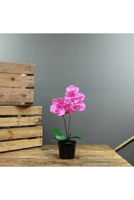 KDMD Artificial Pink Aragon Phalaenopsis in a ceramic Planter Medium - 2 - image 1