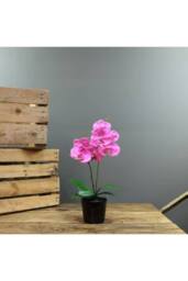 KDMD Artificial Pink Aragon Phalaenopsis in a ceramic Planter Medium - 2 - thumbnail 2