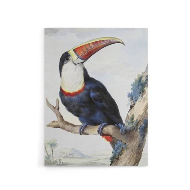 "Artery8 Red Billed Toucan Bird Painting Schouman Canvas Wall Art Print in White - Size: W12"" x H16""" - image 1