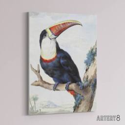 "Artery8 Red Billed Toucan Bird Painting Schouman Canvas Wall Art Print in White - Size: W12"" x H16""" - thumbnail 2
