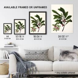"Artery8 New Zealand Toropapa Flowering Plant Featon Wall Art Poster Print in Beige - Size: W12"" x H16""" - thumbnail 3