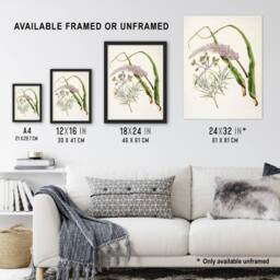 Artery8 Totorowhiti Turpentine Scrub Flowers Featon Framed Wall Art Print in Beige - Size: A4 - thumbnail 3
