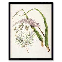 Artery8 Totorowhiti Turpentine Scrub Flowers Featon Framed Wall Art Print in Beige - Size: A4 - thumbnail 1