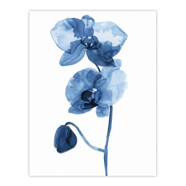"Artery8 Blue Orchid Flower Bloom Watercolour Painting Wall Art Print - Size: W24"" x H32""" - image 1