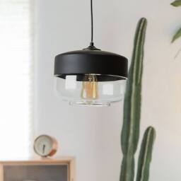 Wyld and Coco Clear Glass Pendant Lamp Black - Modern Geometric Round