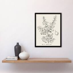 Artery8 John Wright Framed Wall Art Print Fruit Growers Guide Chilean Guava in White - Size: A4 - thumbnail 2
