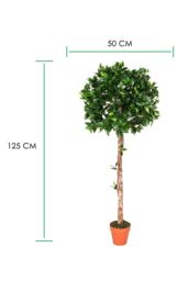 Homescapes Luxury 4ft Ficus Topiary Artificial Plant, Real Stem, Brown Pot, 125cm in Green - thumbnail 4