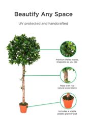 Homescapes Luxury 4ft Ficus Topiary Artificial Plant, Real Stem, Brown Pot, 125cm in Green - thumbnail 2