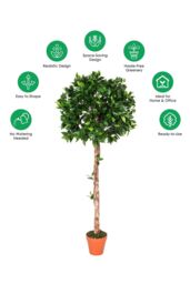 Homescapes Luxury 4ft Ficus Topiary Artificial Plant, Real Stem, Brown Pot, 125cm in Green - thumbnail 5