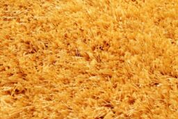 The Rug Shop UK Yellow Modern Plain Easy to clean Machine Made Plain Area Rug - Size: 180 cm x 270 cm - thumbnail 2