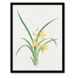 Artery8 Vintage Japan Botanical Framed Wall Art Print Yellow Lilies - Size: A4 - thumbnail 1