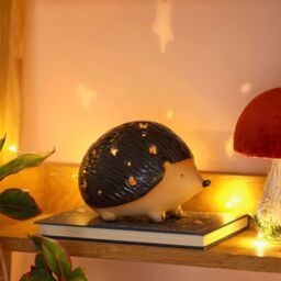 Lisa Angel Women's Ceramic Mr Prickles LED Hedgehog Light in Brown - thumbnail 1