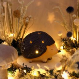 Lisa Angel Women's Ceramic Mr Prickles LED Hedgehog Light in Brown - thumbnail 2