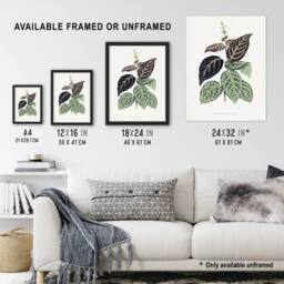 "Artery8 AF Lydon B Fawcett Bignonia Argyro Violacea Crossvine Wall Art Print in White - Size: W12"" x H16""" - thumbnail 3