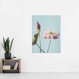 "Artery8 Pink Lotus Flower Blooms Vintage Japan Wall Art Print Kazumasa in Blue - Size: W12"" x H16""" - thumbnail 4