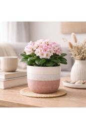 KDMD Hortus Pink & White Bordeaux Stoneware Pot 13cm H x 14cm Dia - thumbnail 3