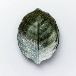 Sienna Glass Glass Plate Leaf Design Green & Silver - thumbnail 3
