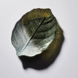 Sienna Glass Glass Plate Leaf Design Green & Silver - thumbnail 5