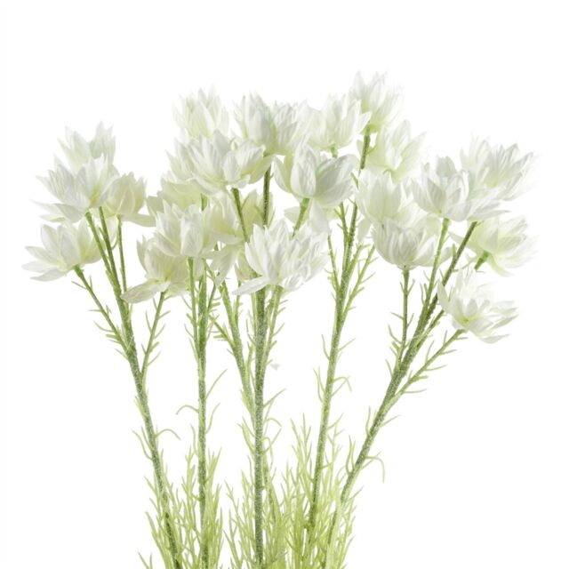 Leaf Pack of 6 x 60cm White Starflower Stem - 30 Flowers - Size: 6 x 60 cm - image 1