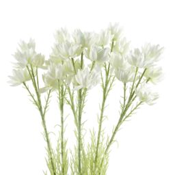 Leaf Pack of 6 x 60cm White Starflower Stem - 30 Flowers - Size: 6 x 60 cm - thumbnail 1