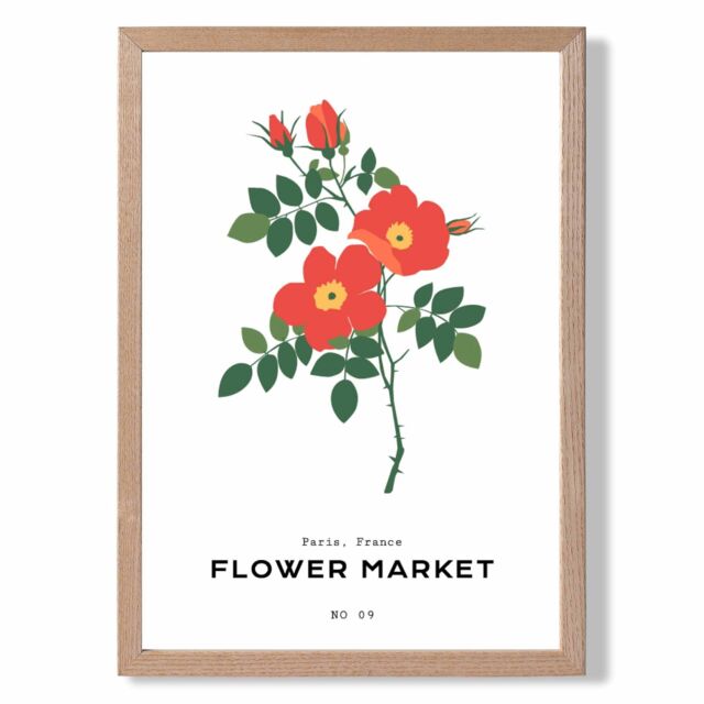 ARTZE Orange Cosmos Plant Flower Market Simplicity Framed Print SIZE: A2 with Oak Frame - Size: A3 - image 1