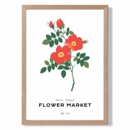 ARTZE Orange Cosmos Plant Flower Market Simplicity Framed Print SIZE: A2 with Oak Frame - Size: A3