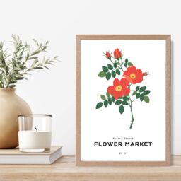 ARTZE Orange Cosmos Plant Flower Market Simplicity Framed Print SIZE: A2 with Oak Frame - Size: A3 - thumbnail 2