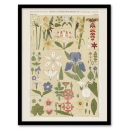 Artery8 Leaves & Flowers From Nature No 8 Jones Framed Wall Art Print in Beige - Size: A4 - thumbnail 1