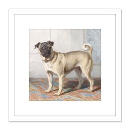 Artery8 Cunaeus Portrait Edwin Vom Rath's Pug Dog Painting 8X8 Inch Square Wooden Framed Wall Art Print Picture with Mount in White - thumbnail 1