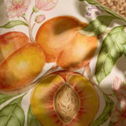 Voyage Maison Peach Harvest Printed Outdoor Cushion - Size: 43 cm x 43 cm - thumbnail 5