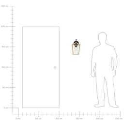 Wyld and Coco Outdoor Wall Light Gold Matte Iron and Glass Sconce - thumbnail 8