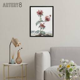 "Artery8 Red Bergamot Flowers in a Landscape Schouman Framed Canvas Wall Art in White - Size: W12"" x H16""" - thumbnail 3