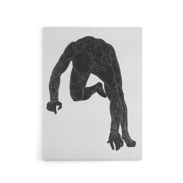 "Artery8 Man muscles Anatomical silhouette study Stolk Canvas Wall Art Print in White - Size: W12"" x H16""" - image 1
