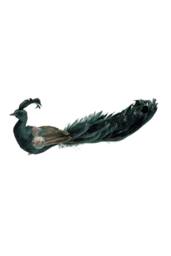 KDMD Green Velvet Peacock 26cm Christmas Ornament - thumbnail 2