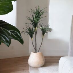 FURNOS Artificial 150CM Tall Decorative Dracaena Plant in Green - thumbnail 5
