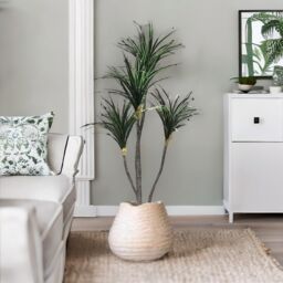 FURNOS Artificial 150CM Tall Decorative Dracaena Plant in Green - thumbnail 4