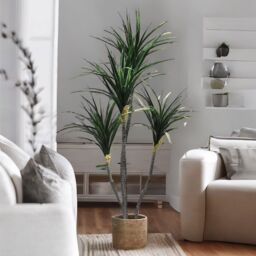 FURNOS Artificial 150CM Tall Decorative Dracaena Plant in Green - thumbnail 2