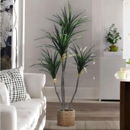 FURNOS Artificial 150CM Tall Decorative Dracaena Plant in Green - thumbnail 1