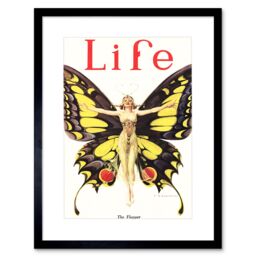 Artery8 Magazine 1922 The Flapper Woman Butterfly Dancer Bright Vintage Cover Illustration Framed Wall Art Print Picture 12X16 inch in Black - thumbnail 1