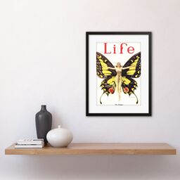 Artery8 Magazine 1922 The Flapper Woman Butterfly Dancer Bright Vintage Cover Illustration Framed Wall Art Print Picture 12X16 inch in Black - thumbnail 2